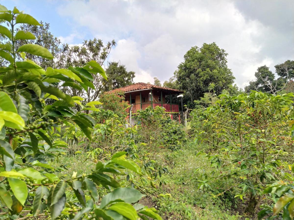 La Acuarela, Posada De La Monita Перейра Екстериор снимка