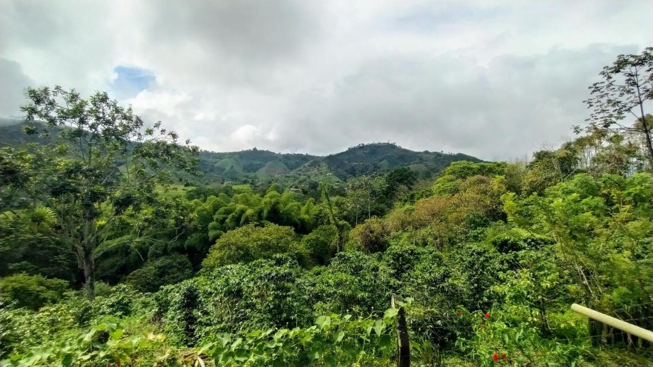 La Acuarela, Posada De La Monita Перейра Екстериор снимка